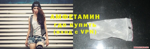индика Гусиноозёрск