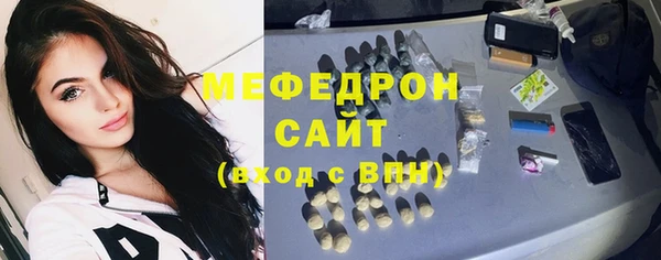 индика Гусиноозёрск