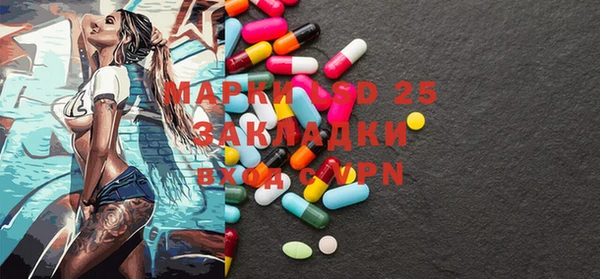 индика Гусиноозёрск