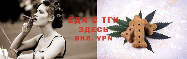 индика Гусиноозёрск