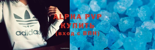 индика Гусиноозёрск