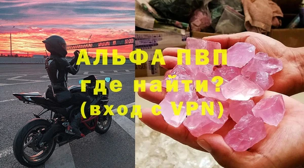 индика Гусиноозёрск