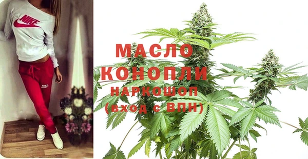 индика Гусиноозёрск