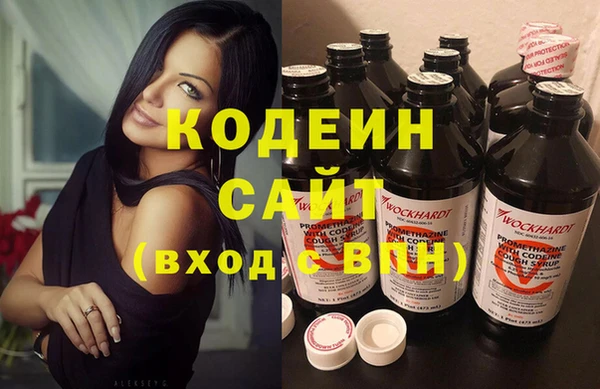 индика Гусиноозёрск