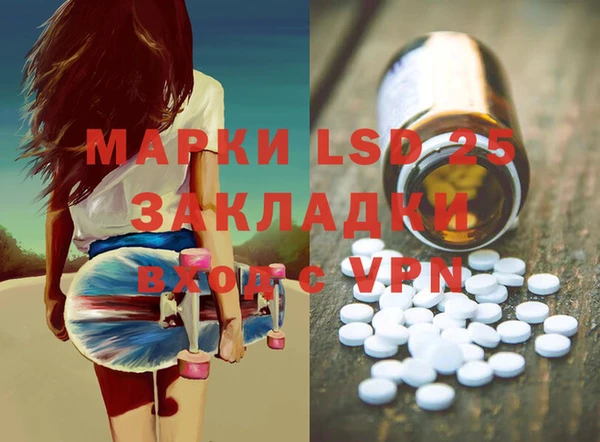 индика Гусиноозёрск