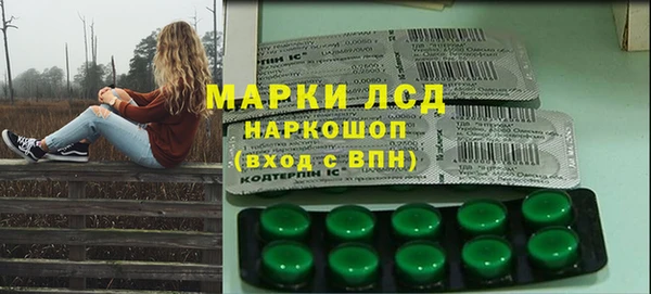 индика Гусиноозёрск