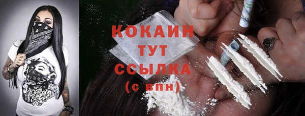 индика Гусиноозёрск